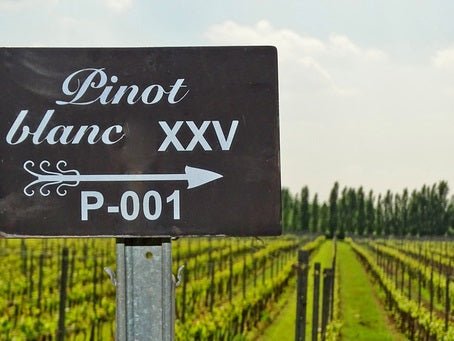 A Special Occasion deserves a Special Champagne. - Boutique Wine and Champagne