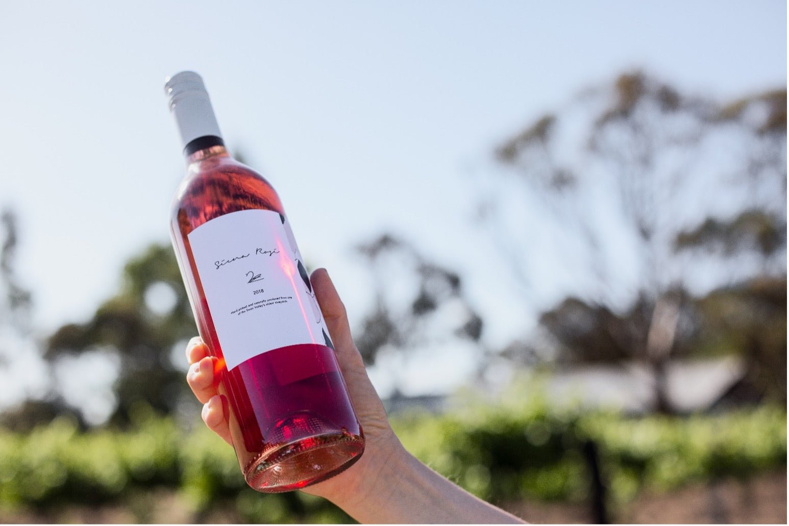 Belinda's Message in a Bottle - Boutique Wine and Champagne