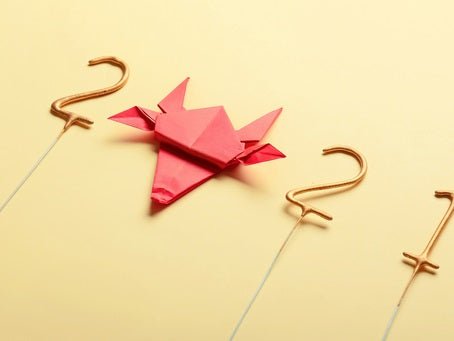 Let the OX out of the box! - Boutique Wine and Champagne 