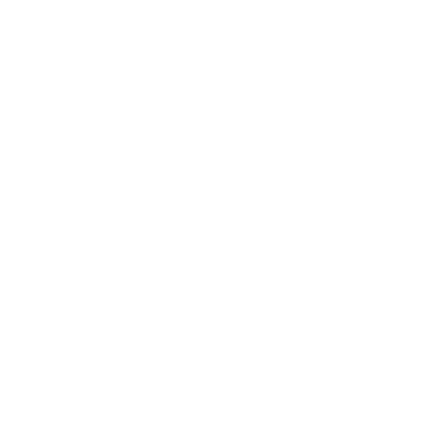 Boutique Wine and Champagne 