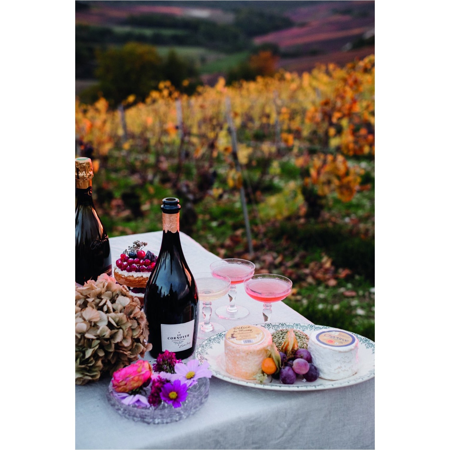 LE CORNOYER CHAMPAGNE 2014 - Boutique Wine and Champagne